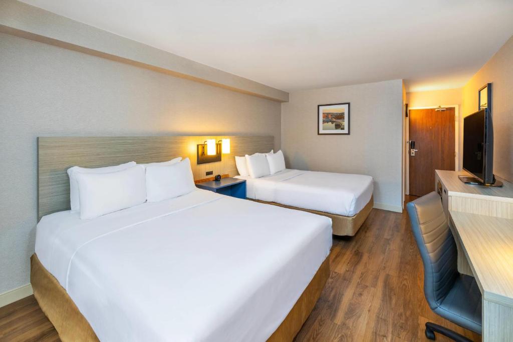 Comfort Inn Corner Brook photo