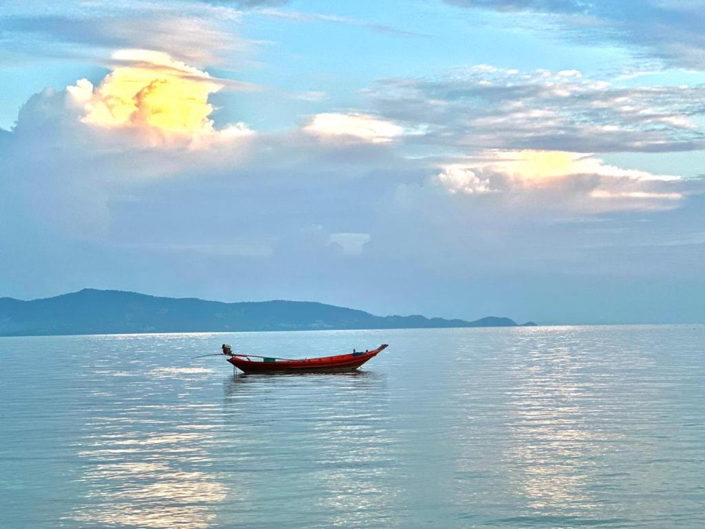 Příroda nedaleko prázdninového domu