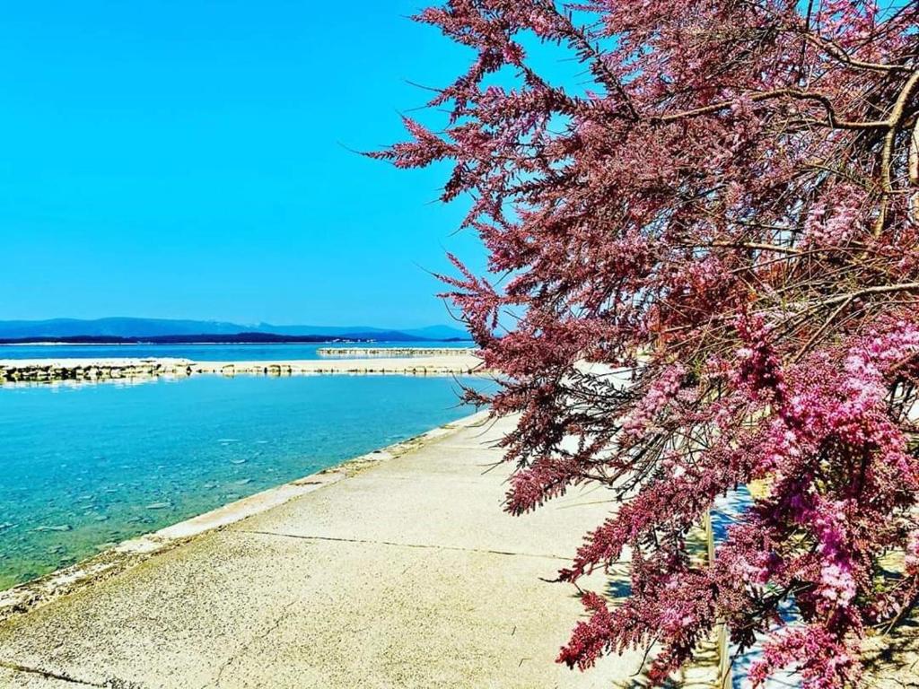 トゥラニにあるApartments Anaのギャラリーの写真