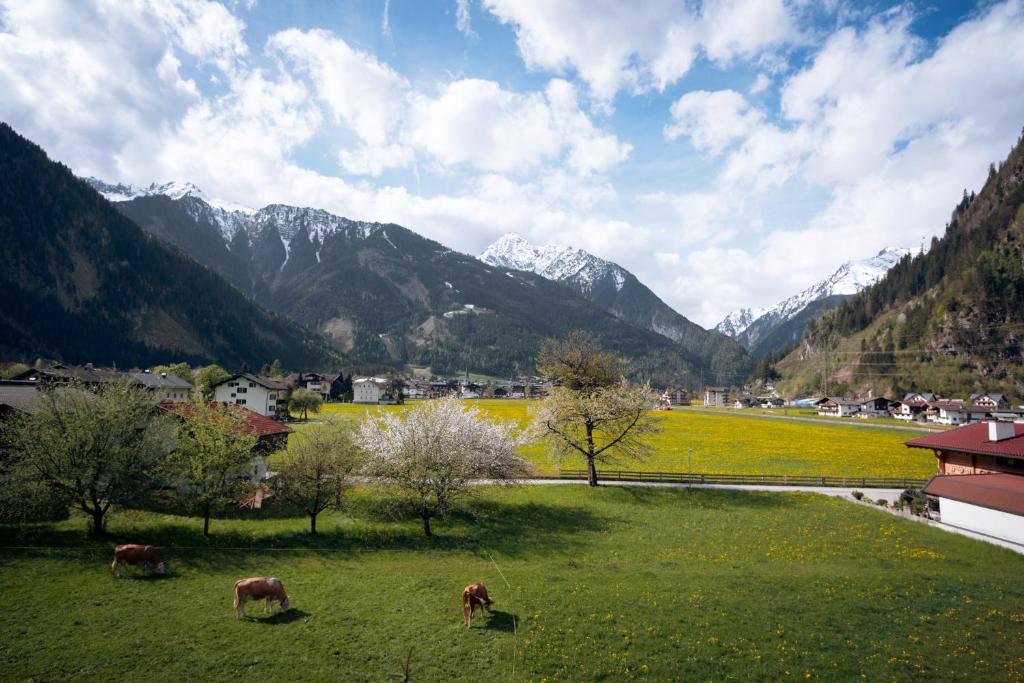 Apart-Garni Innerwiesn - 18