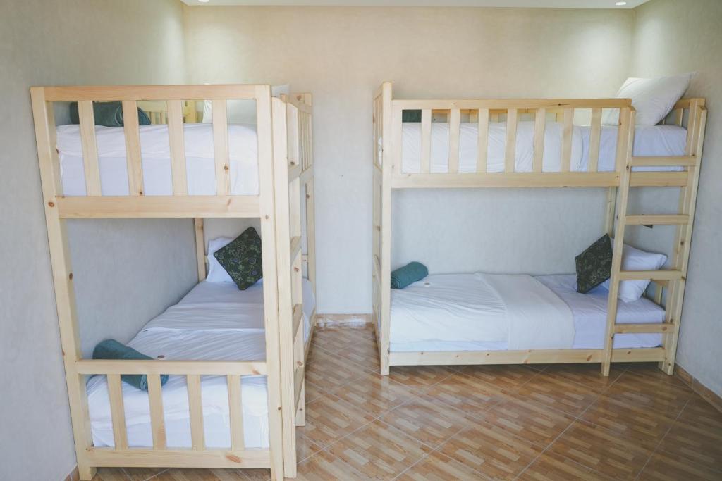 Beachfront cactus surf experience - Bed In 4-Bed Dormitory Room