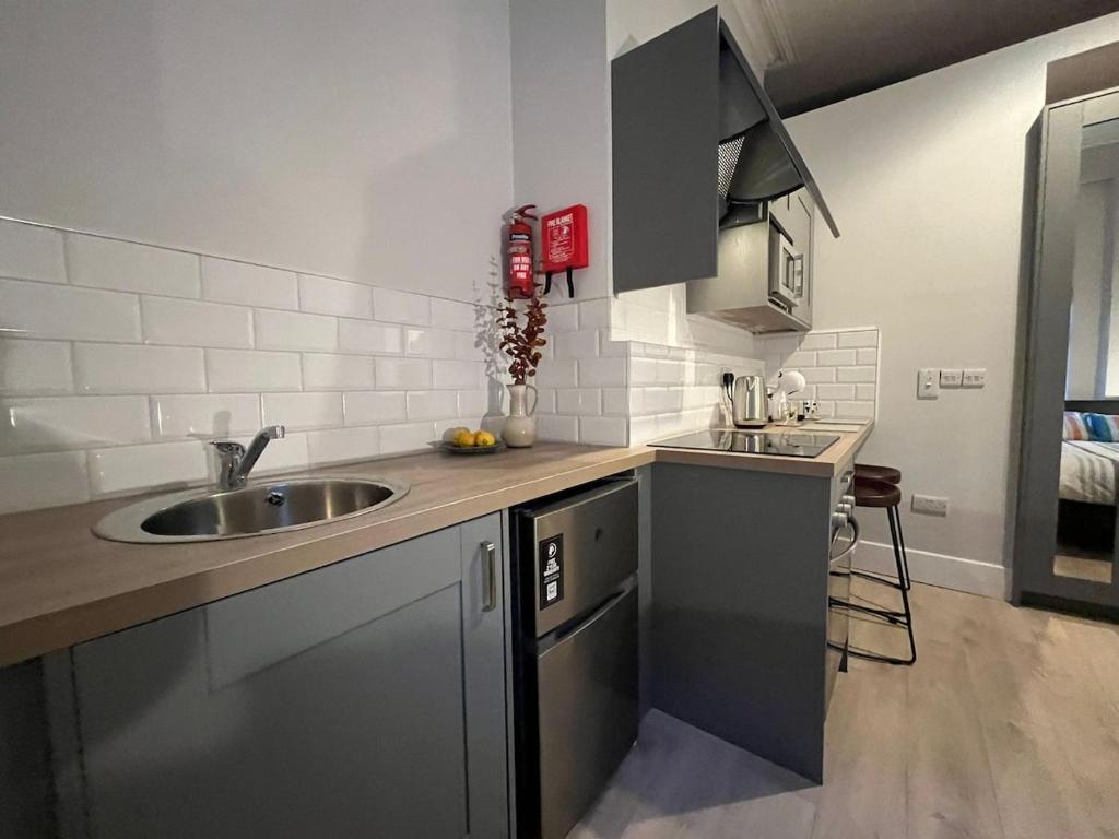 ダブリンにあるLury's Studio Apartmentのシンクとカウンタートップのあるキッチン