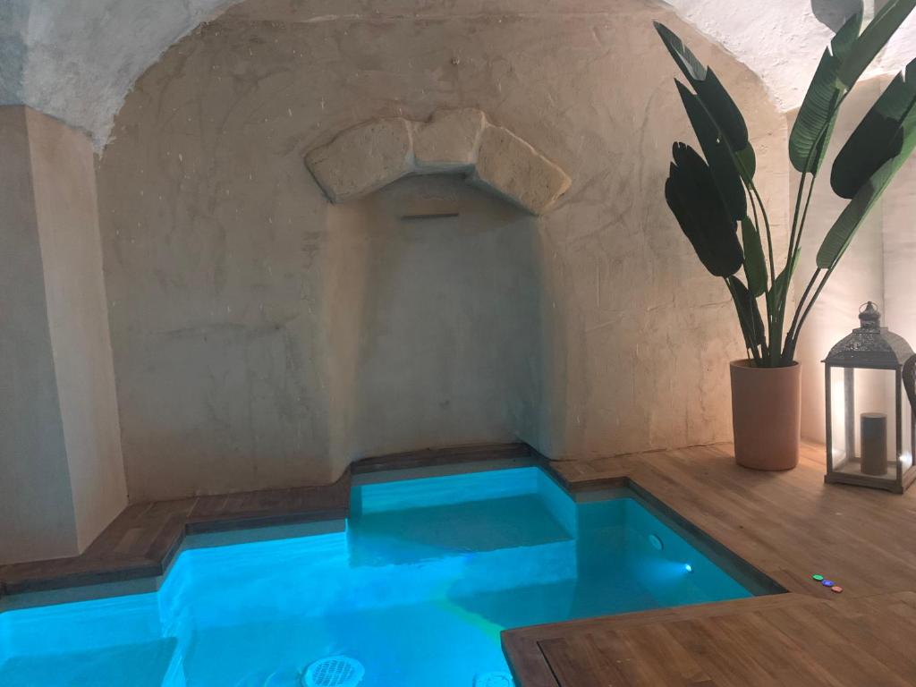 SuiteCota24 piscina e spa