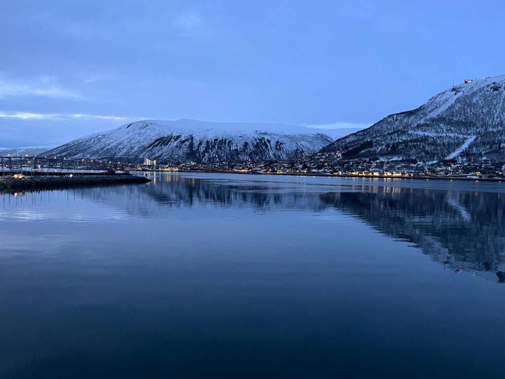 Naturlandskabet i nærheden af lejligheden
