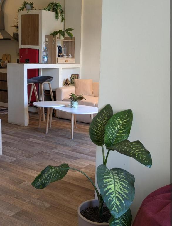 ein Wohnzimmer mit einem Tisch und einer Pflanze in der Unterkunft Modern Comfort studio in the Heart of Agdal in Rabat