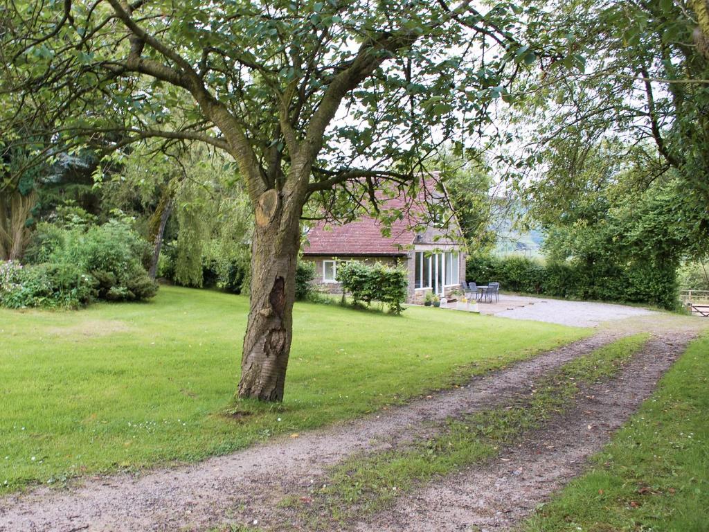 un árbol frente a una casa con un camino de tierra en Winhill Cottage, en Bamford