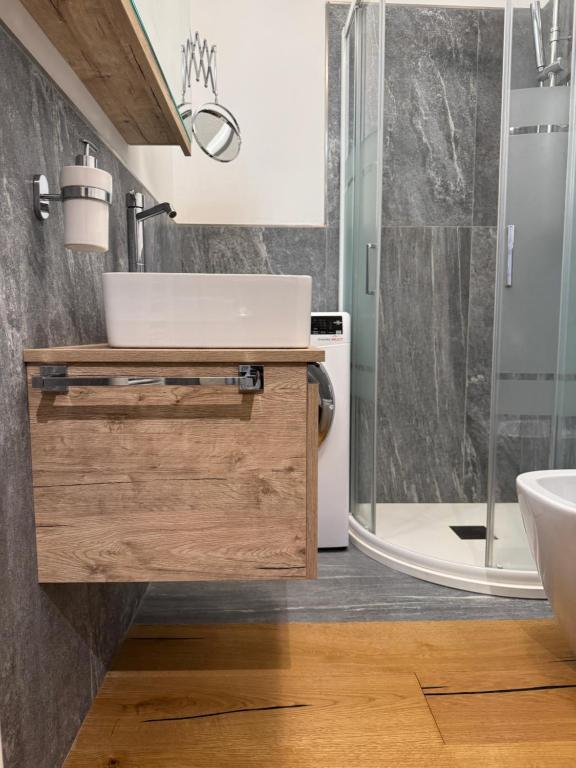 a bathroom with a sink and a shower at Nido Alpino - Vista Montagne e Relax Terme a 150m in Pré-Saint-Didier