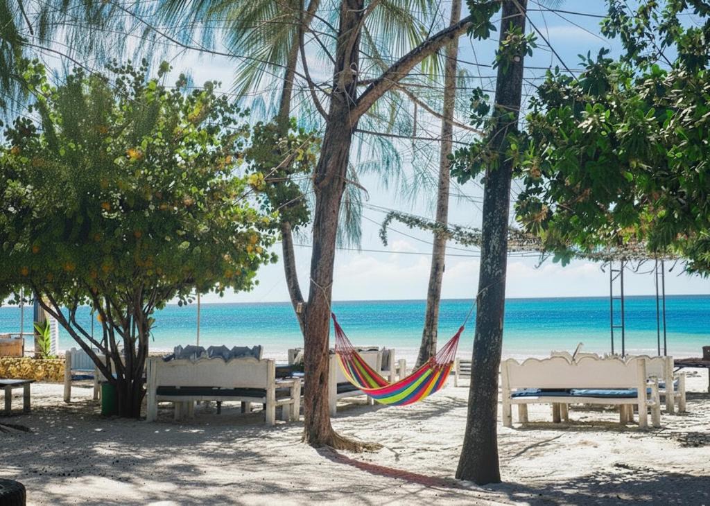 a hammock on a beach with trees and the ocean at Soul Breeze Beach Resort in Diani Beach