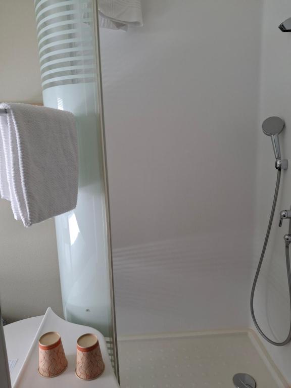 a bathroom with a shower with two cups on a counter at Chambre privée avec lit double et sanitaires et TV mural in Bussigny