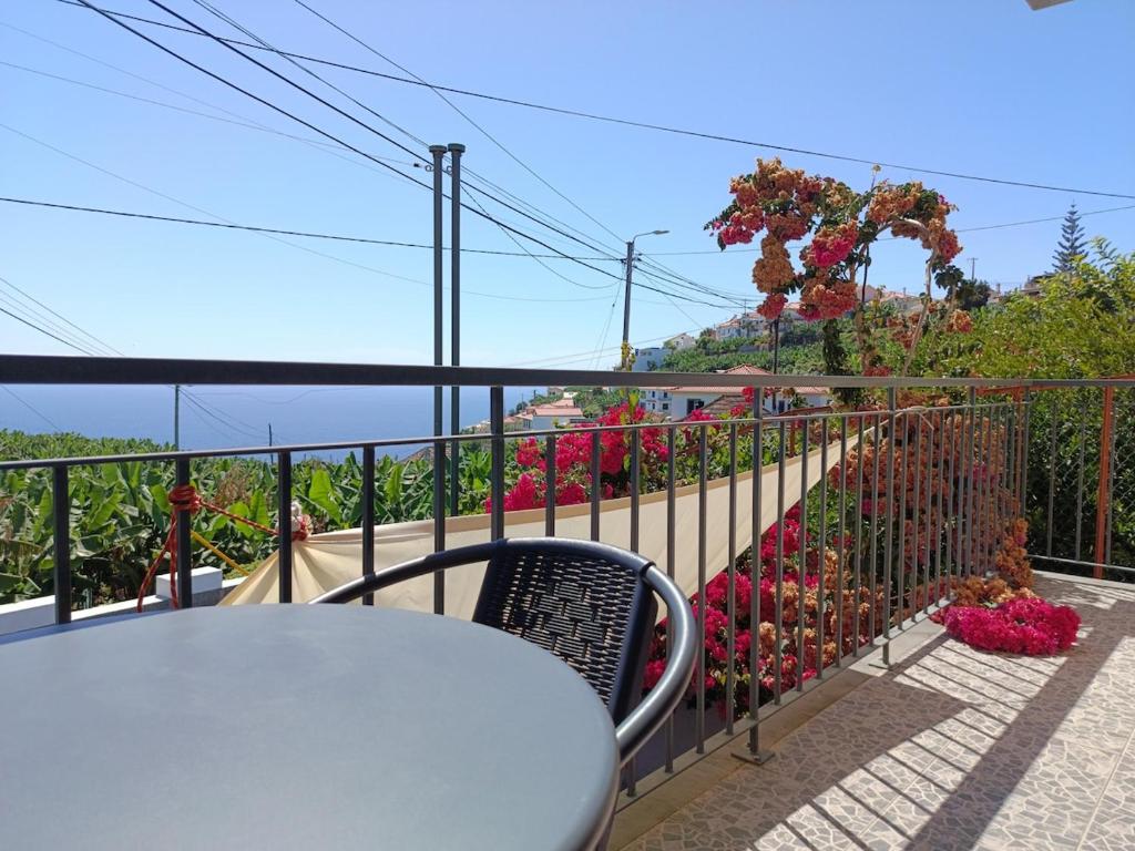 Příroda nedaleko prázdninového domu