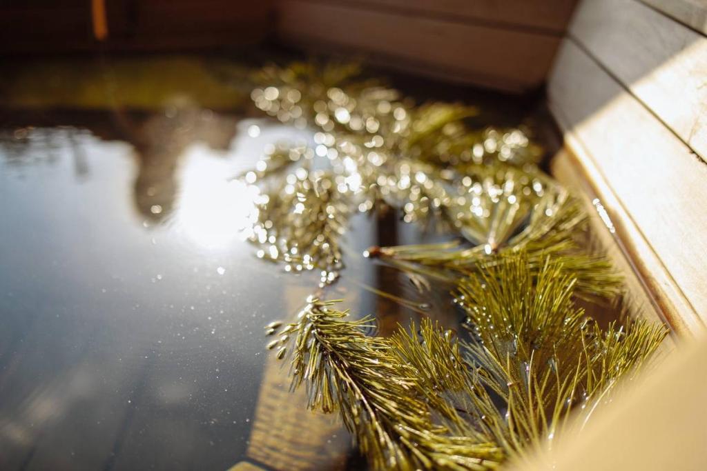 a reflection of a christmas tree in a window at Заміський комплекс Wognishe in Orlovshchina