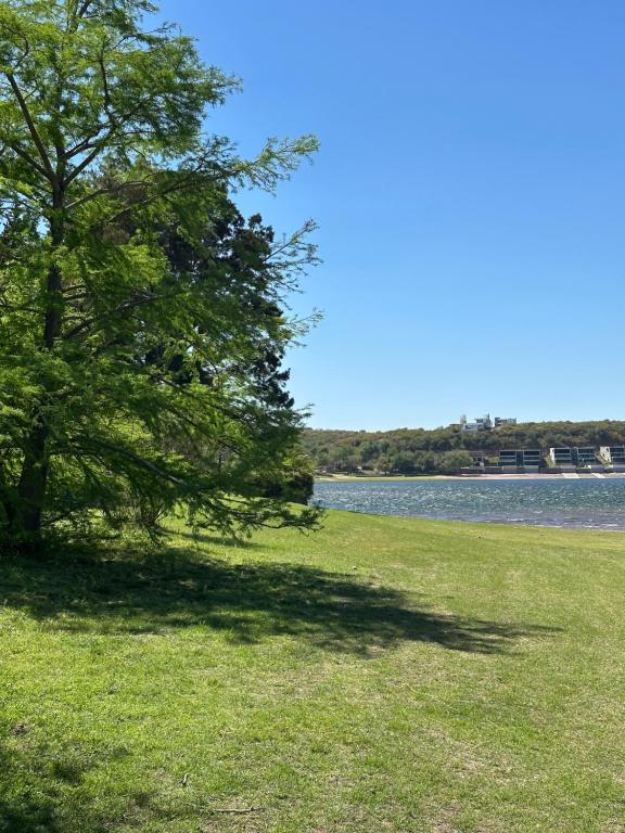 a tree in a field next to a lake at El refugio in Villa del Dique