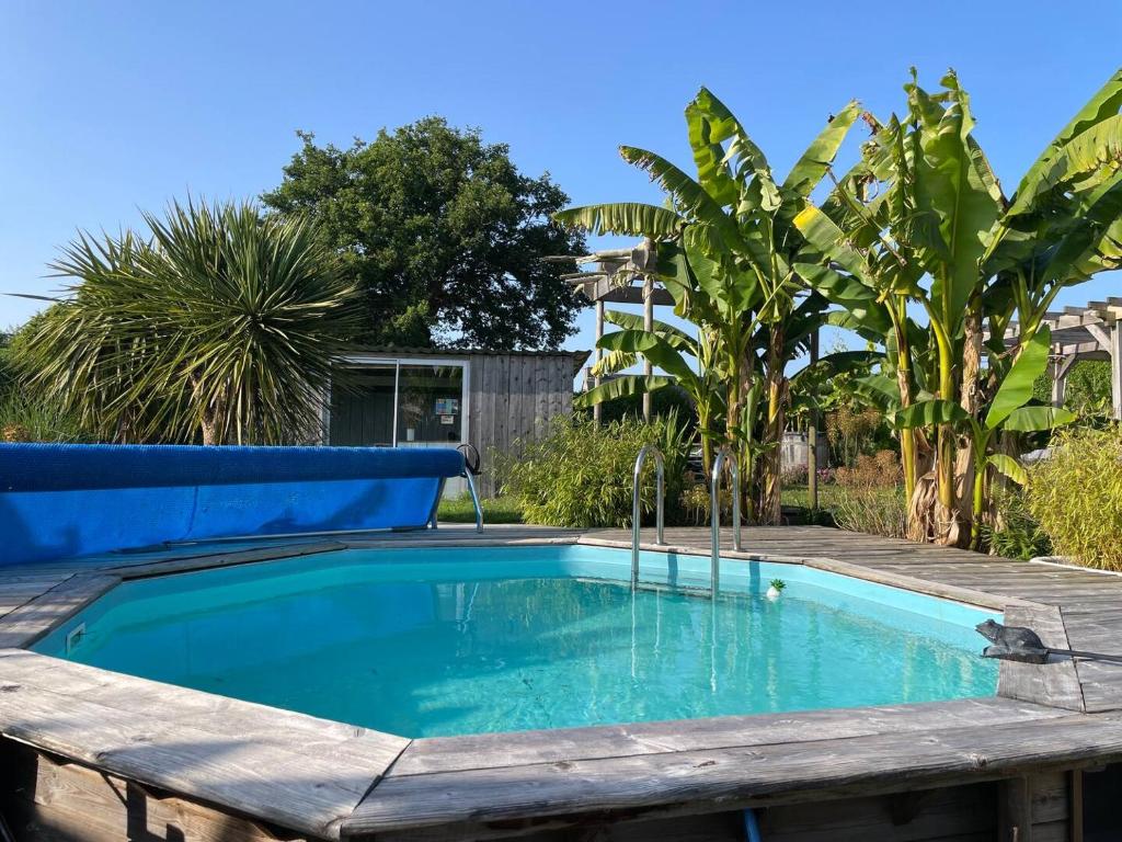 a swimming pool in a yard with trees at Bienvenue chez Chris ! in Saint-Hilaire-des-Landes