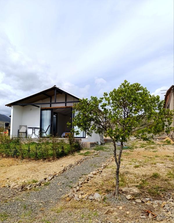 a small tree in front of a small house at Home Glamping Deluxe in Sáchica