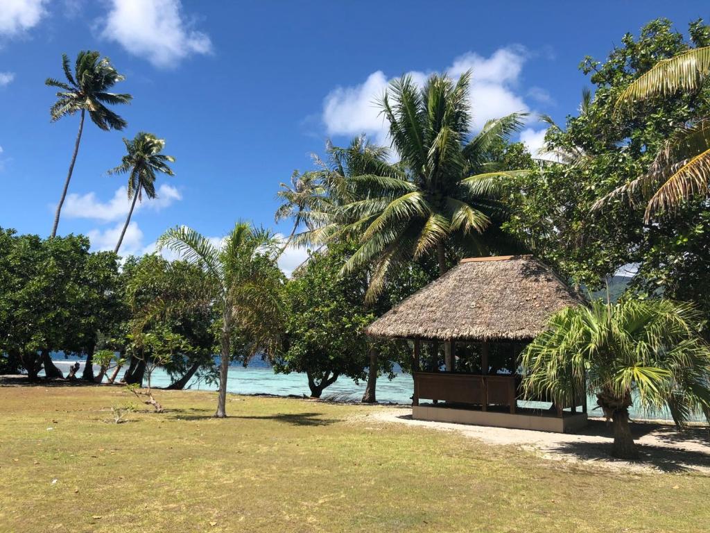 Taina - Terrasse - Bord de mer - - photo 6 - Raiatea, Polynésie