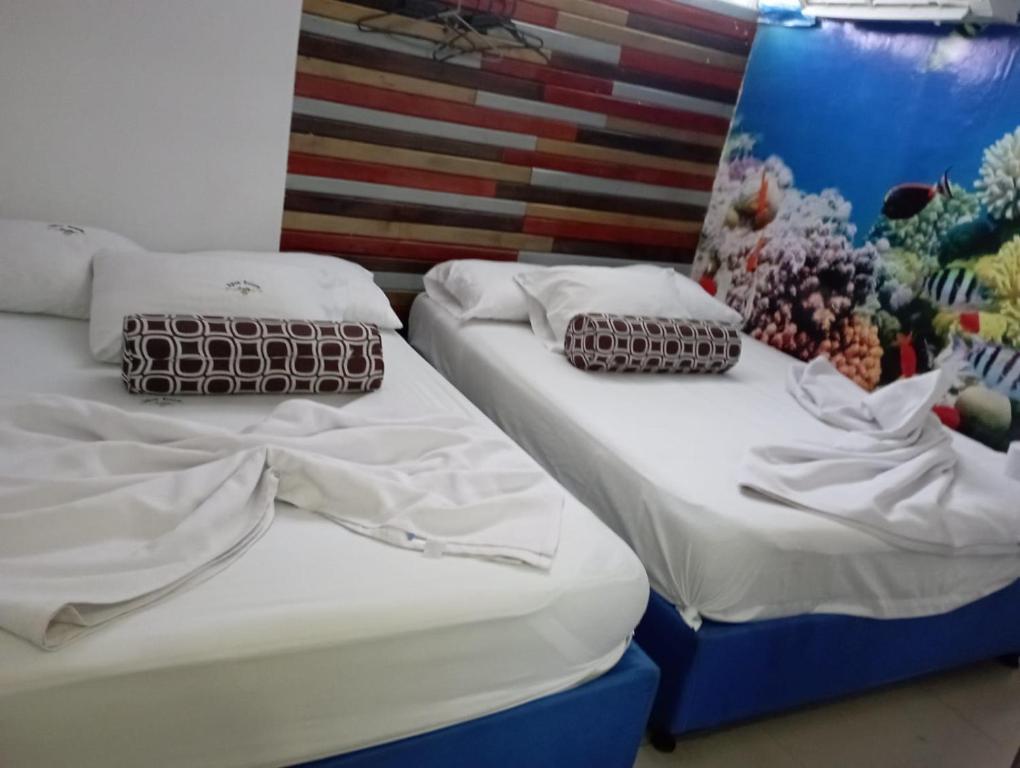 Ảnh trong thư viện ảnh của suites lady tocor ở Gaira