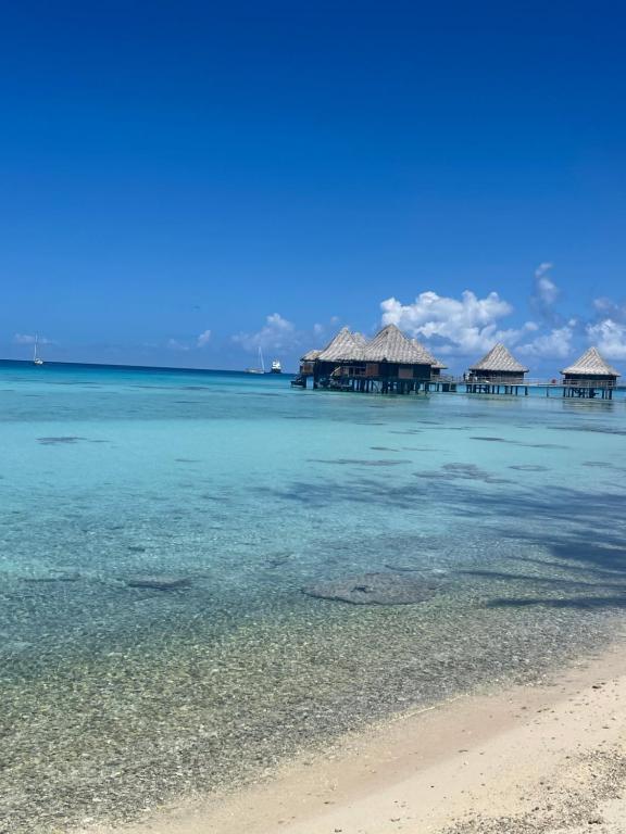 NHN Lodge, Avatoru - photo 5 - Rangiroa, Polynésie