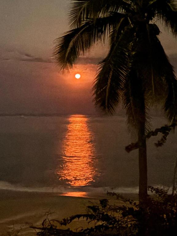 a sunset on the beach with a palm tree at ecohabitas in Mazunte