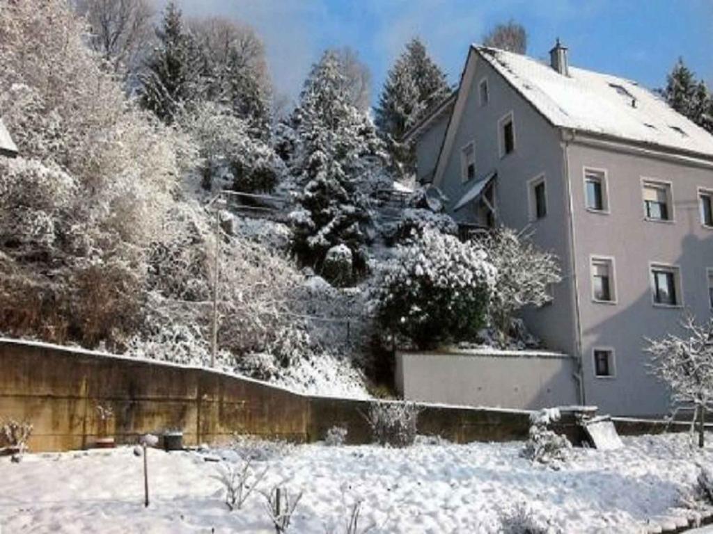 una casa cubierta de nieve junto a una valla en Ferienwohnung Am Altenberg, en Lahr