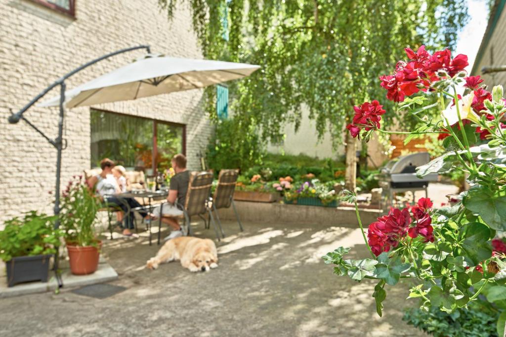 Domácí mazlíčci ubytovaní s hosty v ubytování Hotel-Pension Elfi