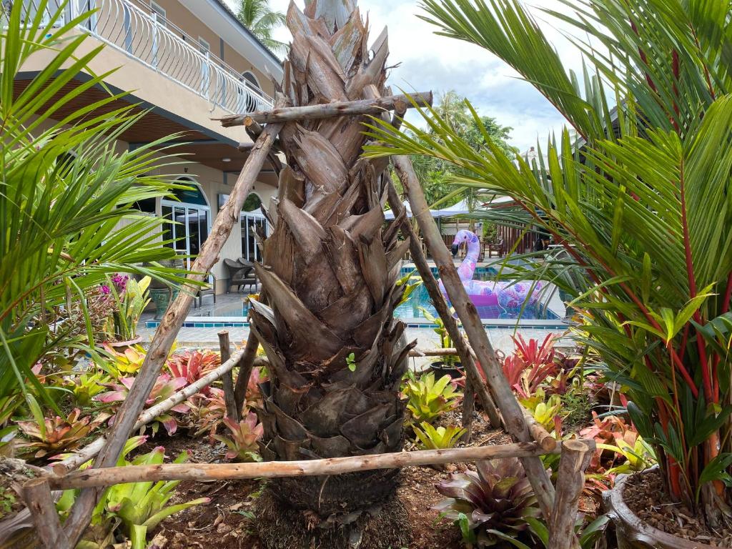 Kalamung Resort and Pool villas - Resim 27