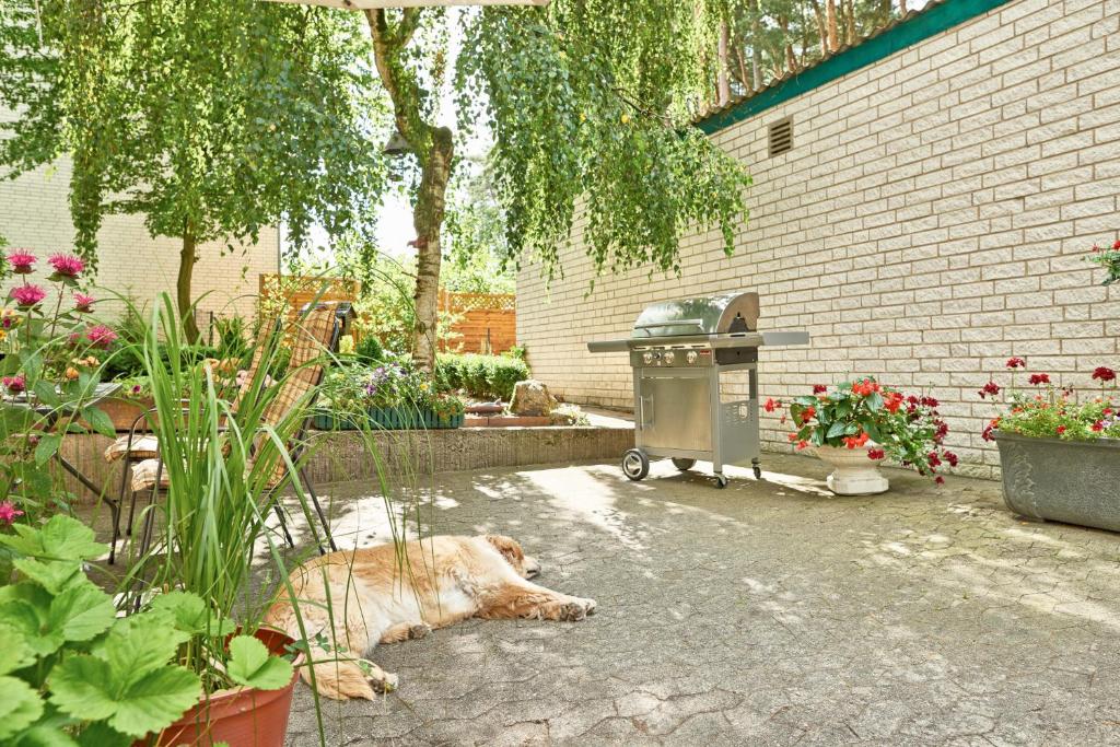 Zahrada ubytování Hotel-Pension Elfi