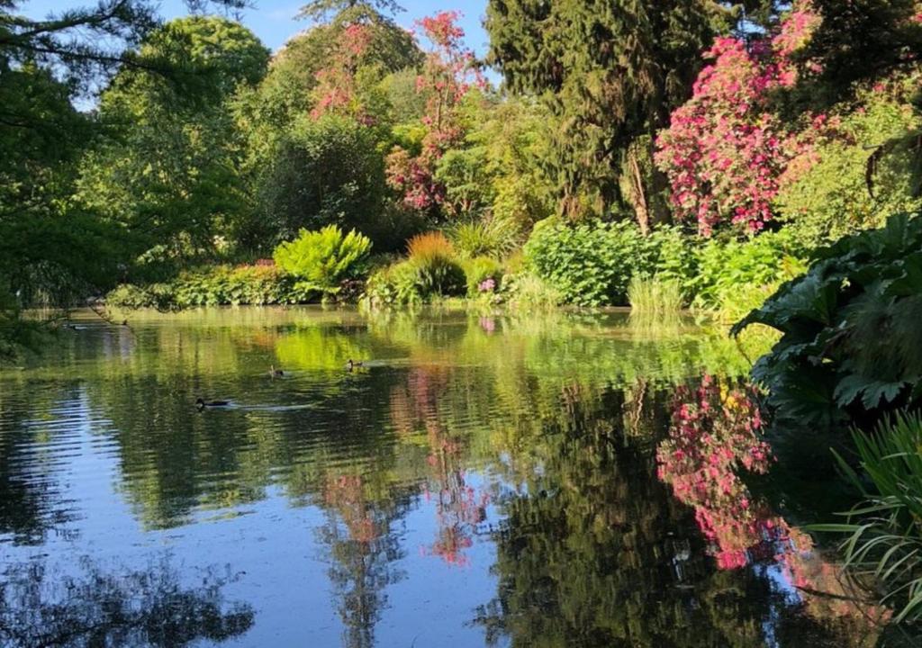 Charming Central Stay - Cosy Comfort and Free Parking - Resim 22