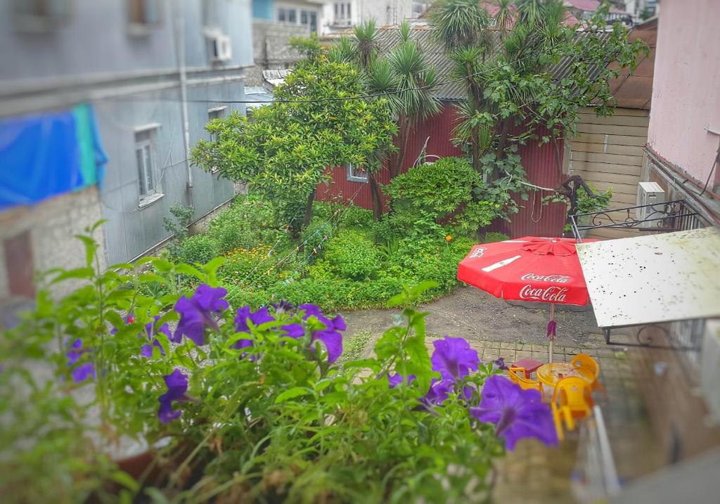 Giardino di Eka Guest House