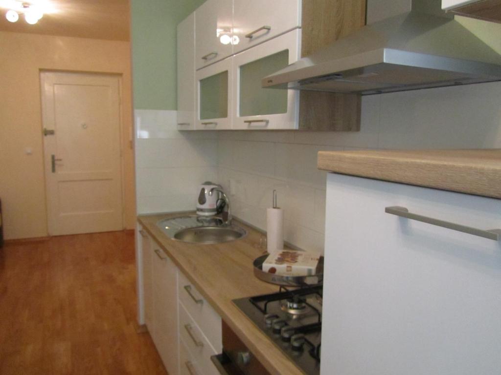 kuchnia ze zlewem i kuchenką górny piekarnik w obiekcie Apartment Domi Kvatric w Zagrzebiu