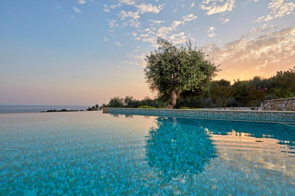 ein Wasserbad mit einem Baum im Hintergrund in der Unterkunft Sivota Seascape Luxury Villas & Residences in Syvota