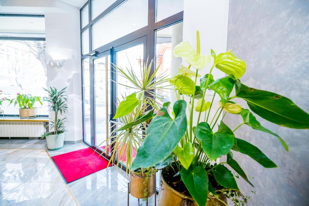 Guci Hotel - Resim 13