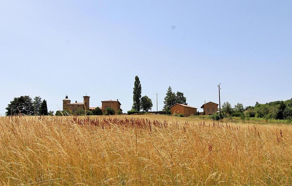a field of tall brown grass with houses in the background at Maison Forte DES GRANDS MAISONS in Cogny