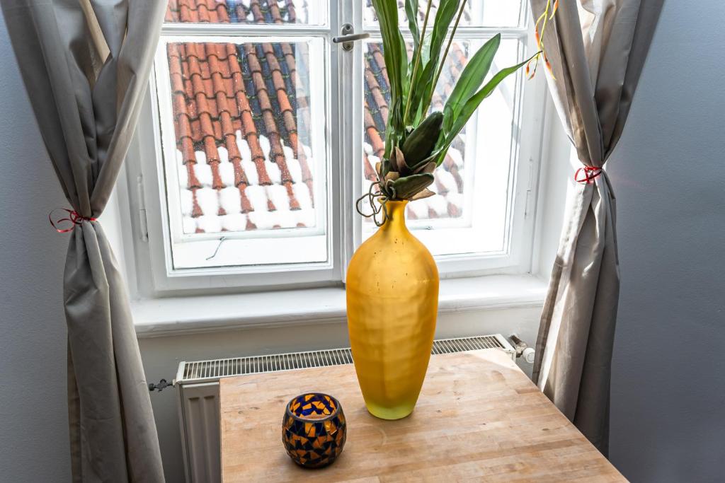 Spacious elegant apartment at the Old Town Square