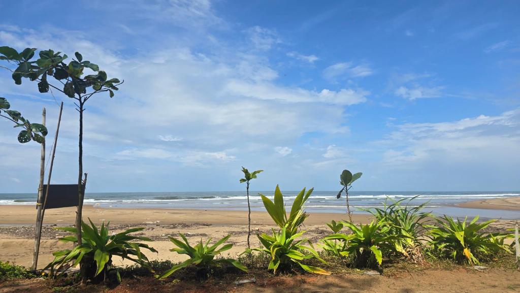 a beach with palm trees and the ocean at Omisha Beach Stay Gokarna in Gokarna