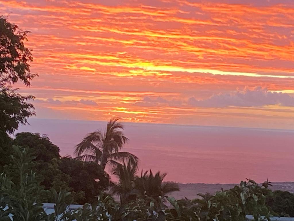 Un paisaje natural cerca de la casa de huéspedes