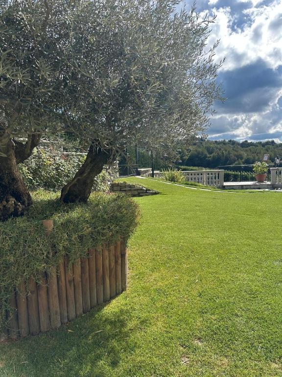 Relais Le Due Matote - Suite Con Vistas Al Jardín
