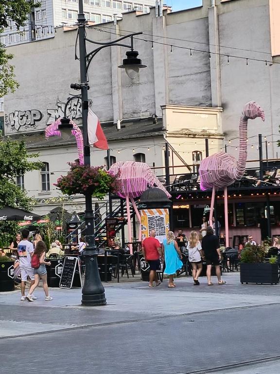 a group of pink flamingos on a city street at Kindermann Residence in Łódź