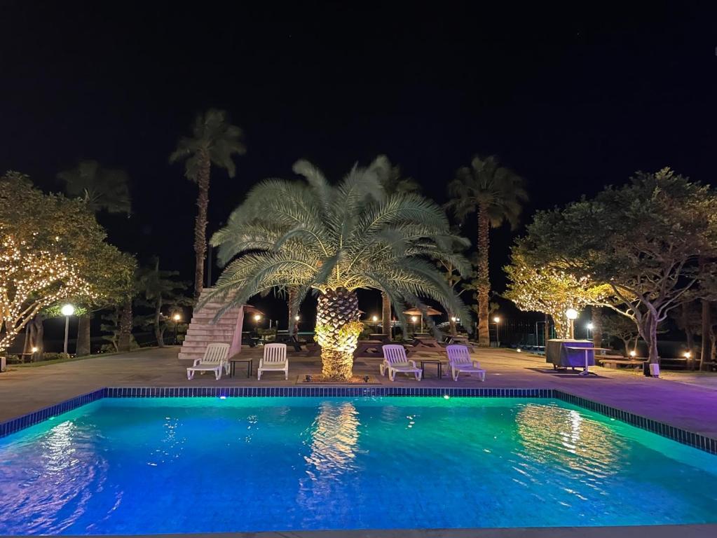 Πισίνα στο ή κοντά στο Jeju Guesthouse Big SSUM