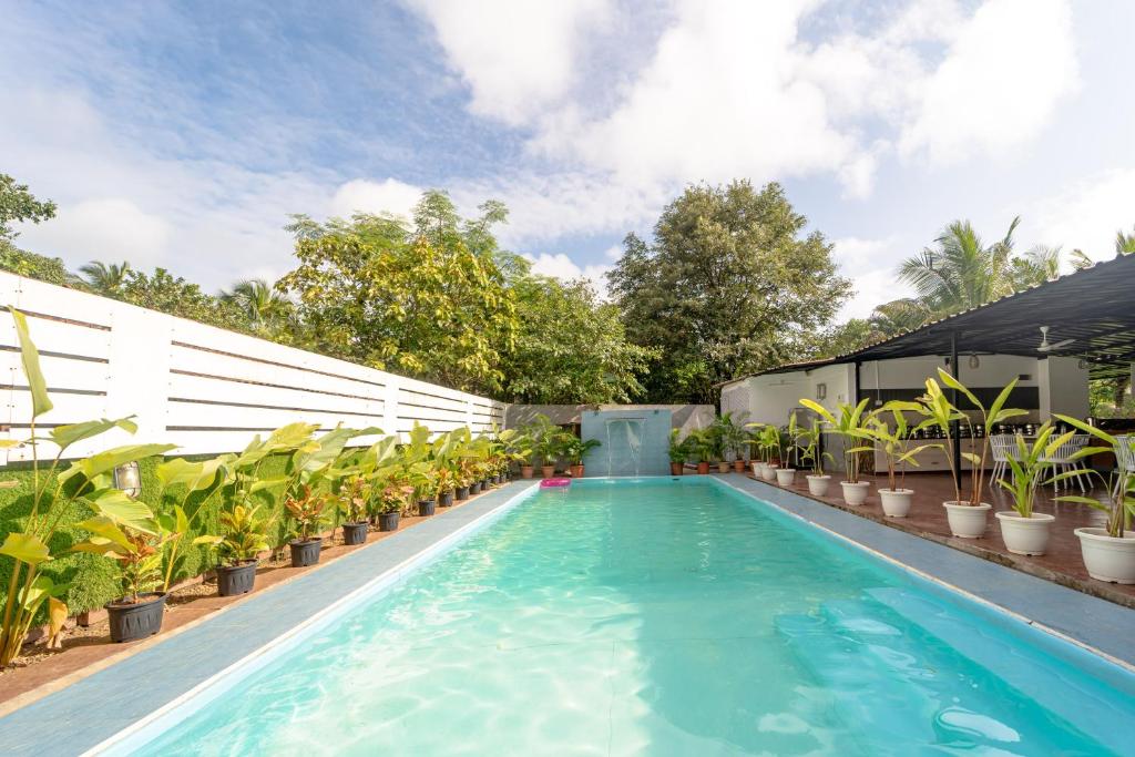 Piscina de la sau aproape de Treebo Clarissa Resort Goa