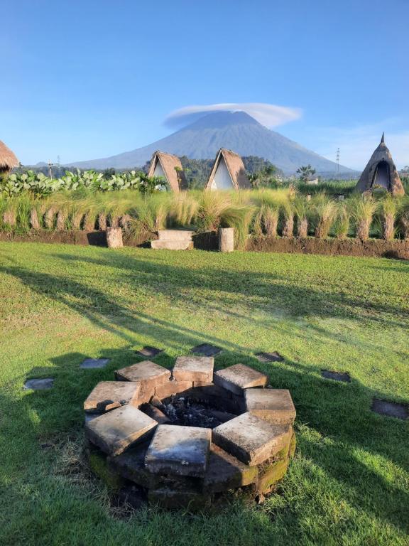 Příroda nedaleko luxury tent