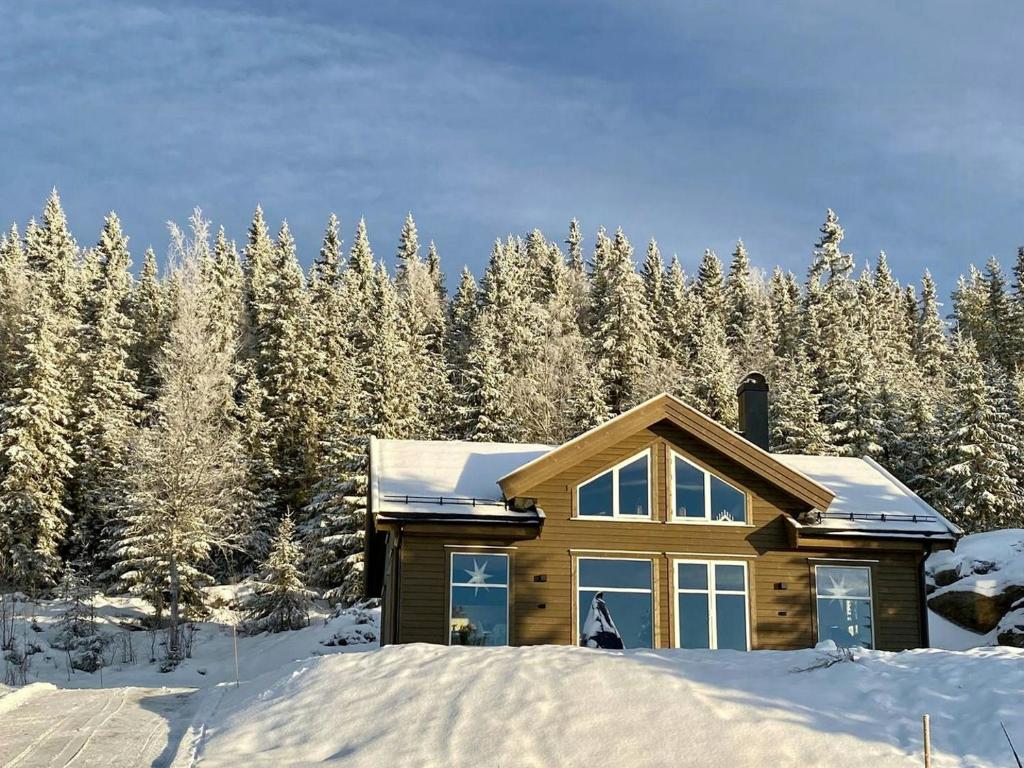 a house in the snow with snow covered trees at Family Cabin With Views In Lygnalia in Jaren