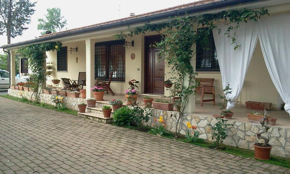 a house with potted plants on the side of it at B&B RoLu in Prima Porta