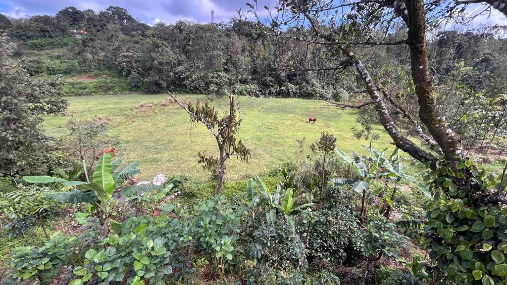 Příroda nedaleko ubytování v soukromí