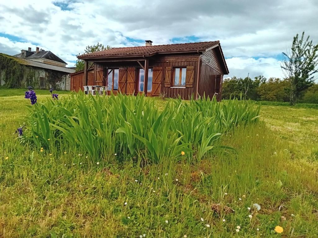 eine kleine Holzhütte auf einem Grasfeld in der Unterkunft Le chalet - Perigord Vert in La Rivarie