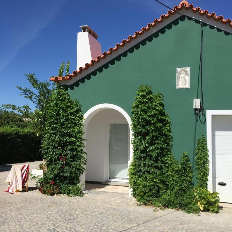 Horta dos Cedros - 18