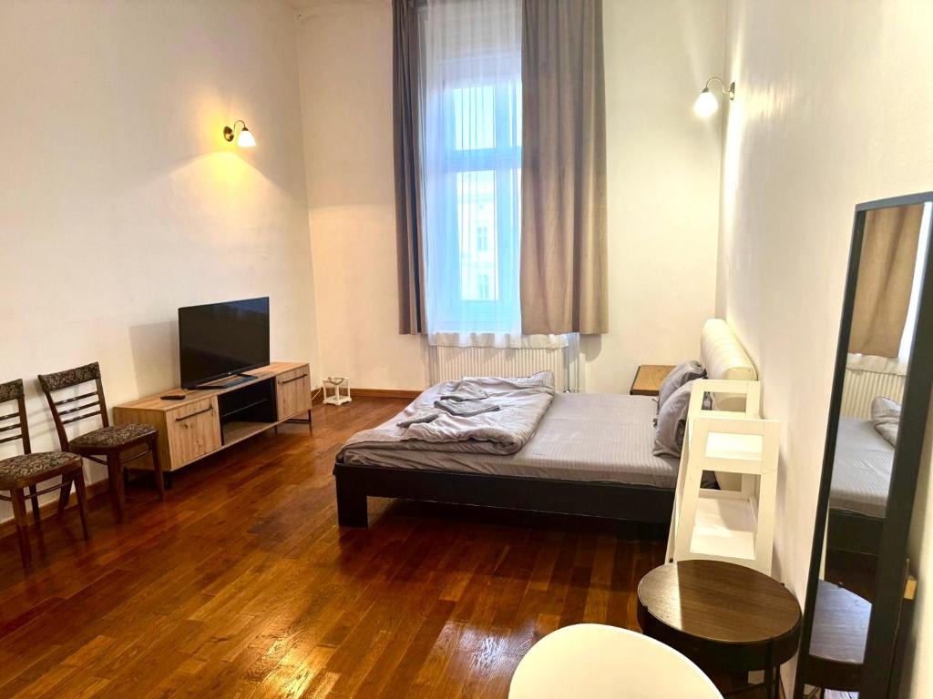 a small room with a bed and a television at Central Studio With Parking in Arad