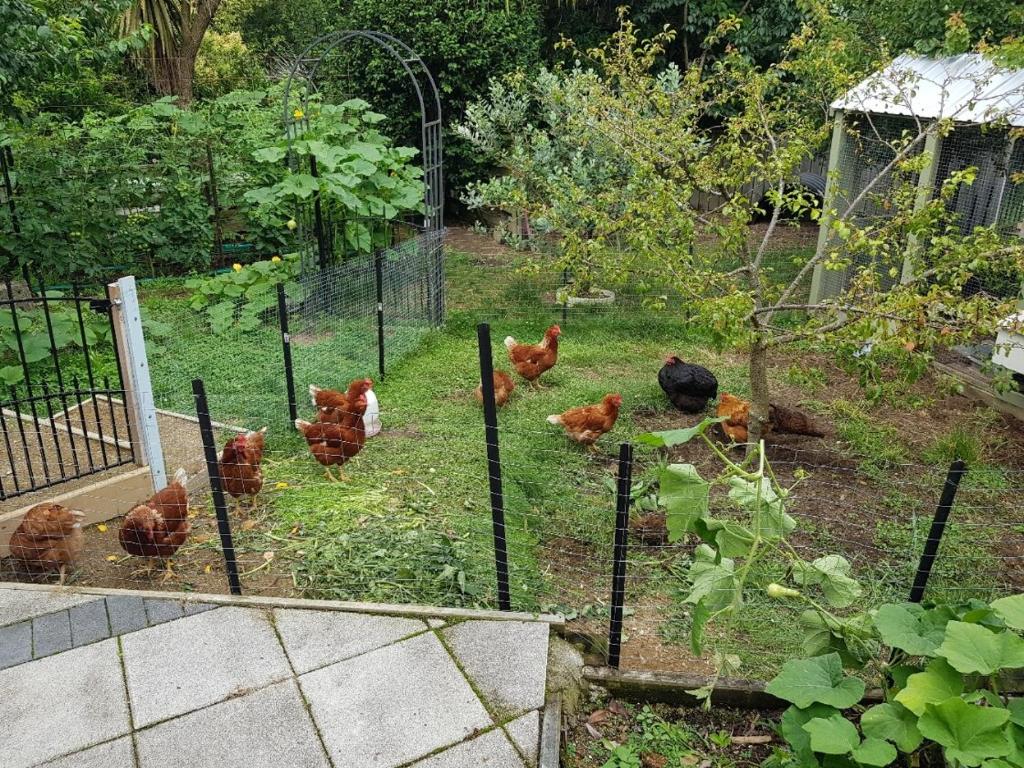 Garden Studio - Resim 6