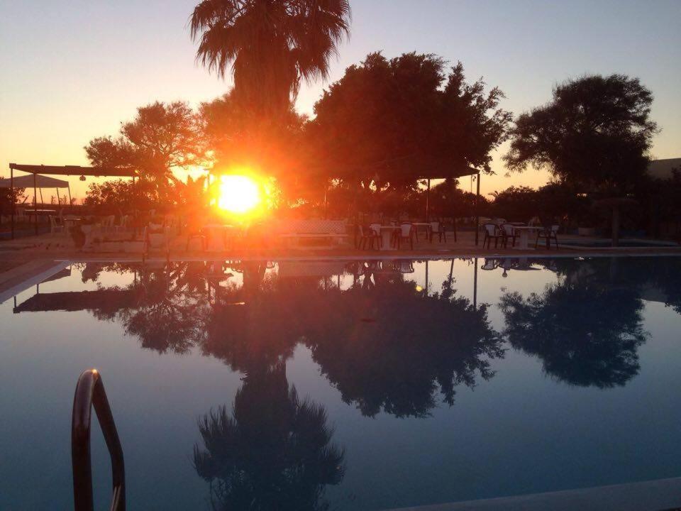 a sunset over a swimming pool with a palm tree at Complexe Touristique Sidi Salem in Bizerte