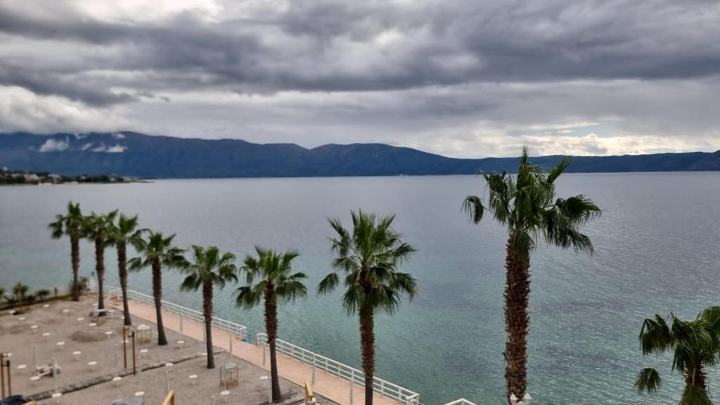 a row of palm trees on a beach near a body of water at Luxury Two Bedrooms and two balcony beachfront apartment in Vlorë