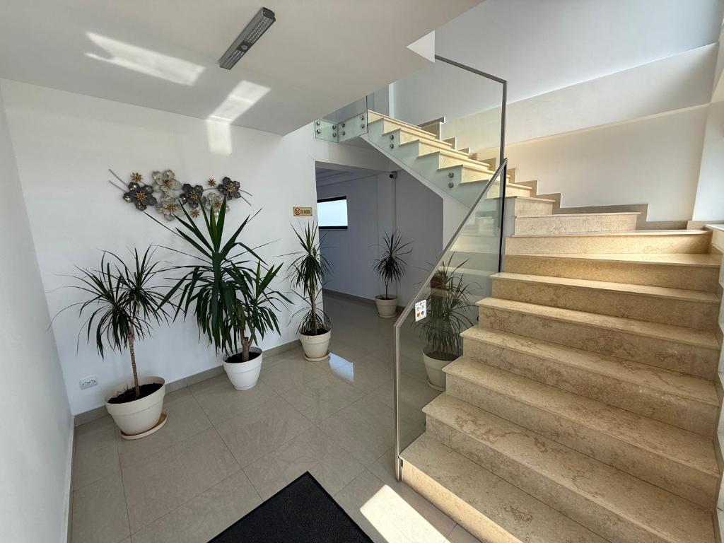 Φωτογραφία από το άλμπουμ του Silver Residence Caracal σε Caracal